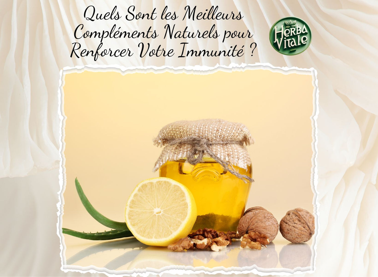 Quels Sont les Meilleurs Compléments Naturels pour Renforcer Votre Immunité ?