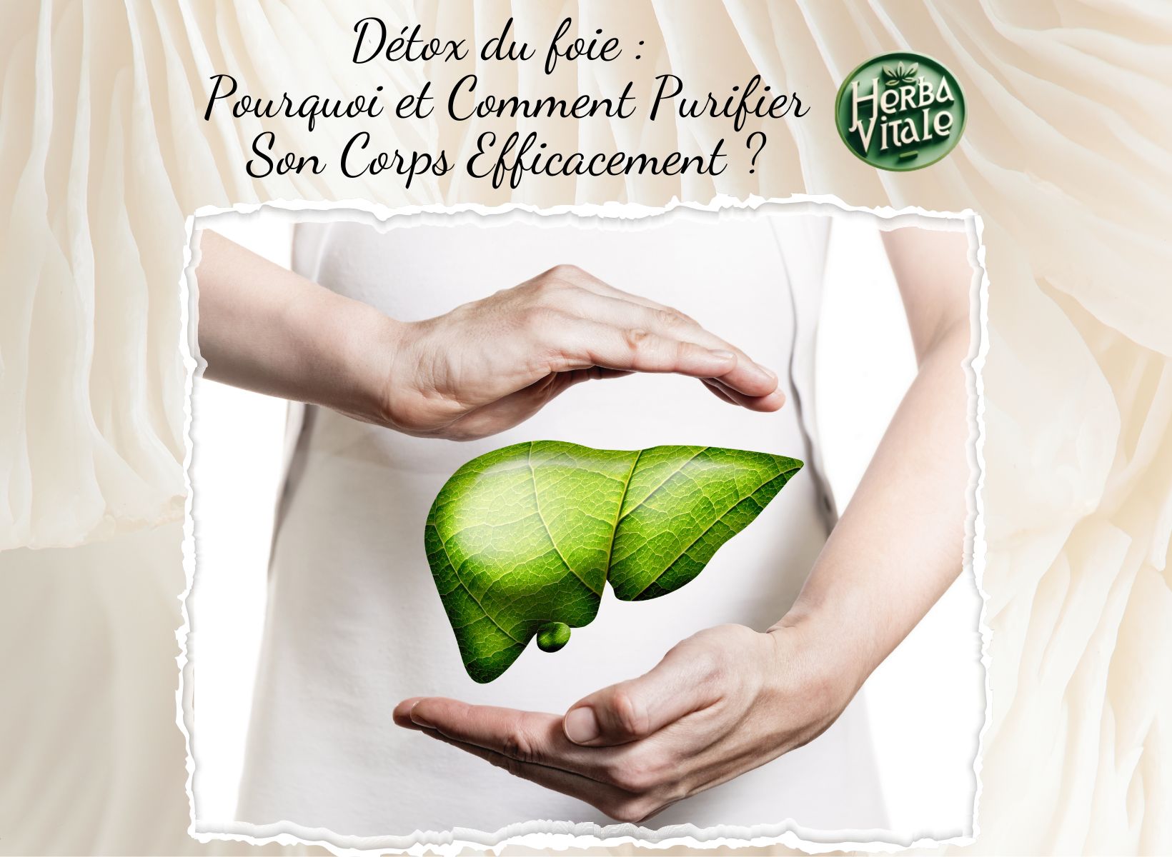 Détox du foie : Pourquoi et Comment Purifier Son Corps Efficacement ?