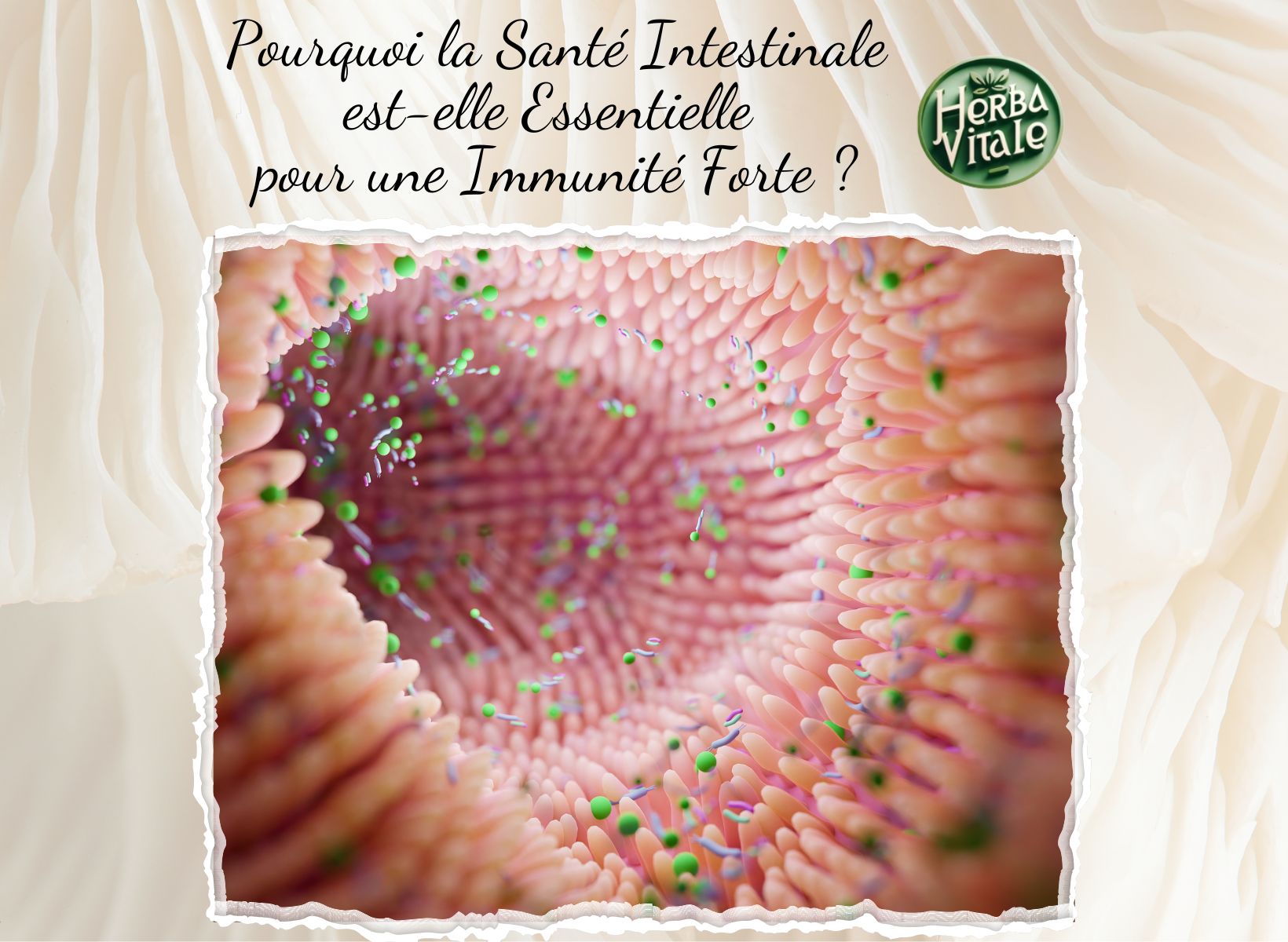 Pourquoi la Santé Intestinale est-elle Essentielle pour une Immunité Forte ?