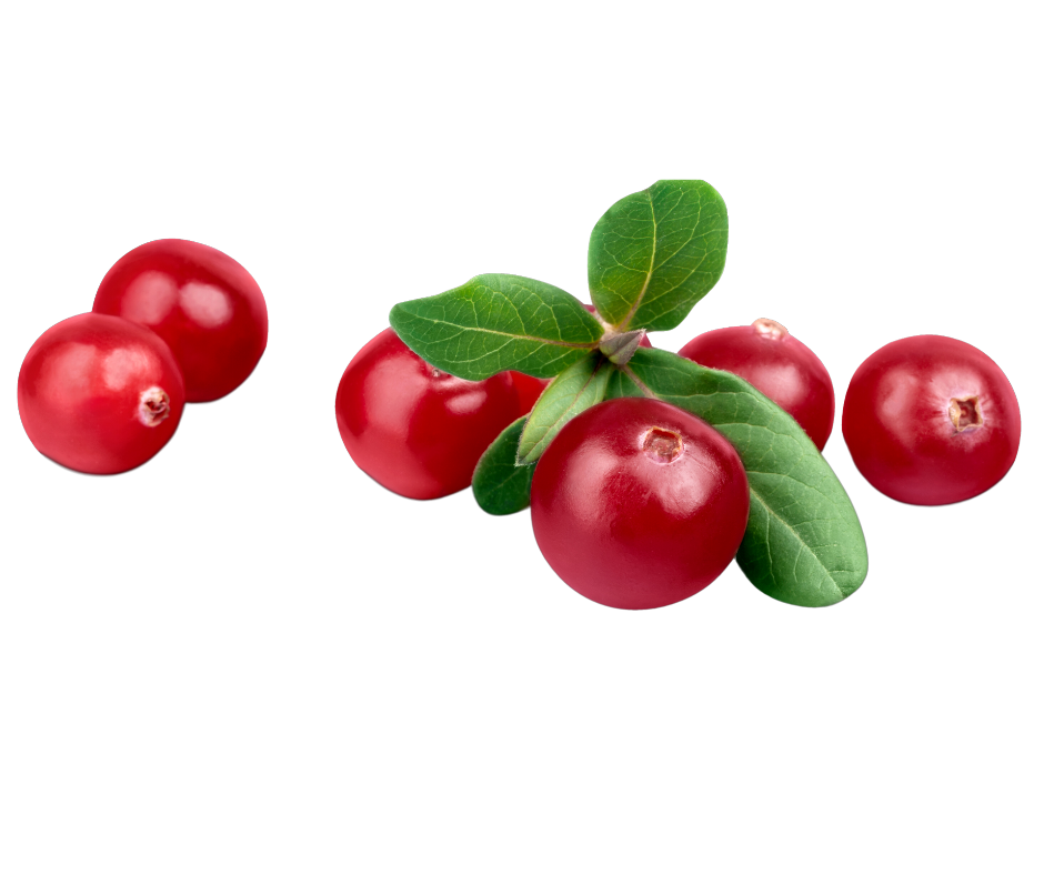 Acceler8 Restore B-Epic - Restore and Detoxify Your Digestive System