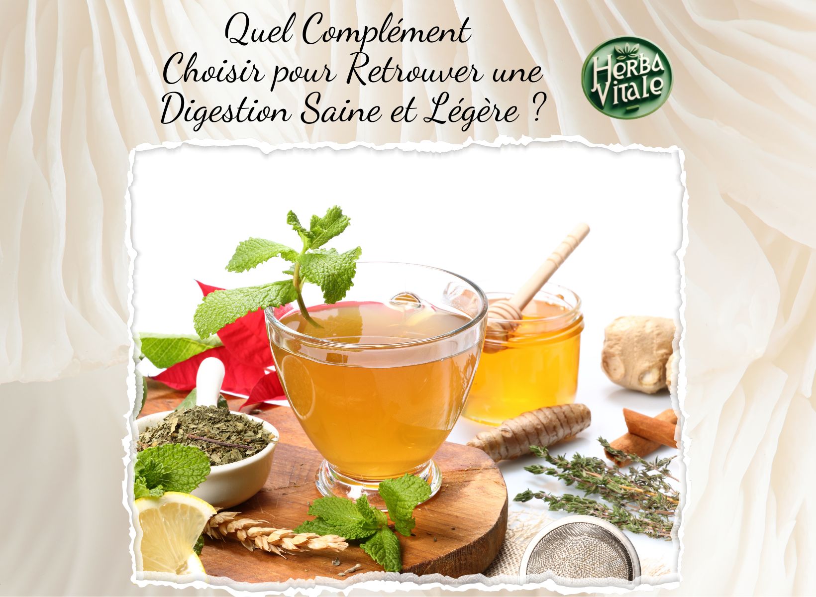 Quel Complément Choisir pour Retrouver une Digestion Saine et Légère ?
